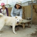 유기코리아 이미지