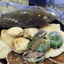 배곧아브뉴프랑센트럴퍼플 이미지