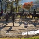 거리농장 이미지