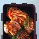 세이유치원 이미지