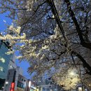 미스터제인 | 미스터제인 개금카페 후기