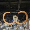 관마로 | 현풍 테크노파크 아이와함께 국립대구과학관 방문후기