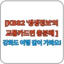 조개부리마을 | [KBS2 &#39;생생정보&#39;의 교통카드면 충분해] 강화도 여행 같이 가봐요!