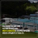 해담수산 네이버블로그