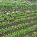 성산.오조 지질트레일 이미지