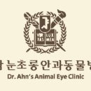 청담눈초롱안과동물병원 이미지