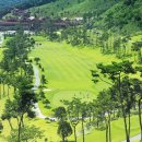 보성컨트리클럽 이미지