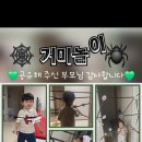 🕷거미가 줄을 타고 올라갑니다🕸 이미지