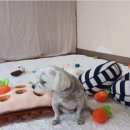 소리야네집 이미지