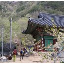 강정리마을회관 이미지