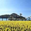 수선화 - 계양구 계산천동로 6 | 수선화