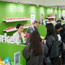 더 엘 관광호텔 이미지