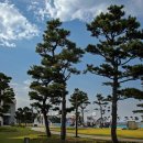 망상오토캠핑리조트 이미지