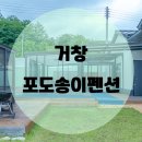 포도송이펜션 이미지