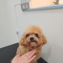 호두미용실