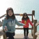 금오도별밤지기펜션 이미지