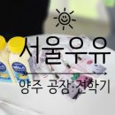 국군양주병원 | 서울우유 견학 평일 방문기 / 예약 방법