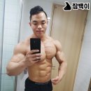 욜로닉스 디베아 무선청소기 솔직후기