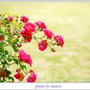 베이커리 시어터 이미지