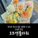 봄앤봄 플라워 카페 | 향긋한 꽃으로 봄을 선물할 수 있는 응암동 꽃집, 오브앤플라워
