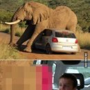 코끼리PC방 이미지