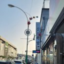 길손다방 - 청송군 명당2길 20 | 길손다방