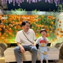 우림메디칼 | 추석연휴 일산 가볼만한곳을 찾는다면? 일산 아쿠아플라넷