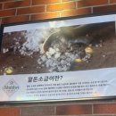 더식당 | 금정구맛집 구서동삼겹살 더바른식당 다녀온 후기!