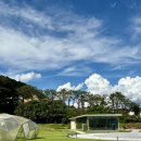 전북특별자치도립미술관 | [전북도립미술관] 전주 실내 데이트 추천 “진격하는 B급들” 전시회