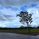 391 스테이 | 제주 기린빌라리조트 후기 | 한라산 근처 가족형 가성비 리조트에서의 힐링 스테이