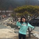 도둑골야영장 이미지