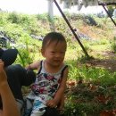 포도밭1길 이미지