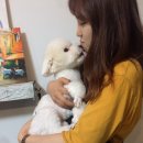 그리미아뜰리에