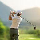 매일농원 이미지