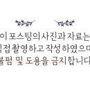 시립은여울어린이집 이미지