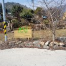 좋은사람들 | 강진 키즈 풀빌라 독채 자연이좋은사람들 더쉼풀빌라 썰매장까지 있었던 가족여행 후기