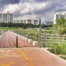 율하천자전거길 이미지