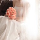 제미니슈즈샵 | [💍2부드레스 추천] 2부 드레스 ‘베일즈’ 피팅 후기