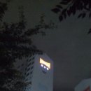 블루밍애드 이미지