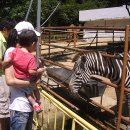 전주동물원 이미지