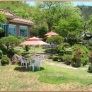 정원이 아름다운 집 이미지