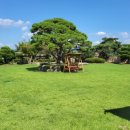 담양495-10 이미지