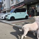 수인펫 이미지