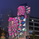 드다니엘(de Daniel) | [네덜란드🇳🇱일상] GLOW EINDHOVEN 2025 The Light : 빛의 도시 빛의 축제 글로우 에인트호번 관람 후기