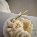 오씨야채 | 일상/당일치기 대전/오씨칼국수 내 돈 내산 솔직후기/지하상가 소품샵/성심당 망고시루