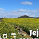 두근두근하우스 in 성산 이미지