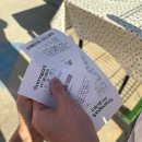 [강원 평창] 진짜 대존잼 1인용 롤러코스터 용평리조트 마운틴코스터 후기🎢