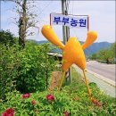 우리농산물직판장 - 포천시 정금로 356-5 | 우리농산물직판장