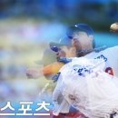 엠(M) 메이저 이미지