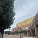 (주) 삿포로 참치 | [일본|삿포로] 삿포로 토리톤스시 웨이팅·삿포로 맥주 박물관 동선 꿀팁 추천